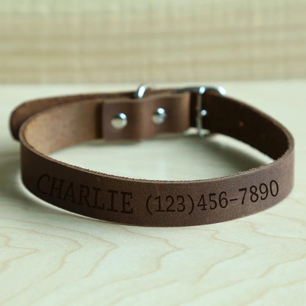 Personalized Genuine Leather Pet ID Collar