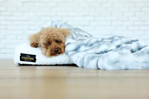 Pet Blanket JulesRoche Luxurious Softness Cloudy Day
