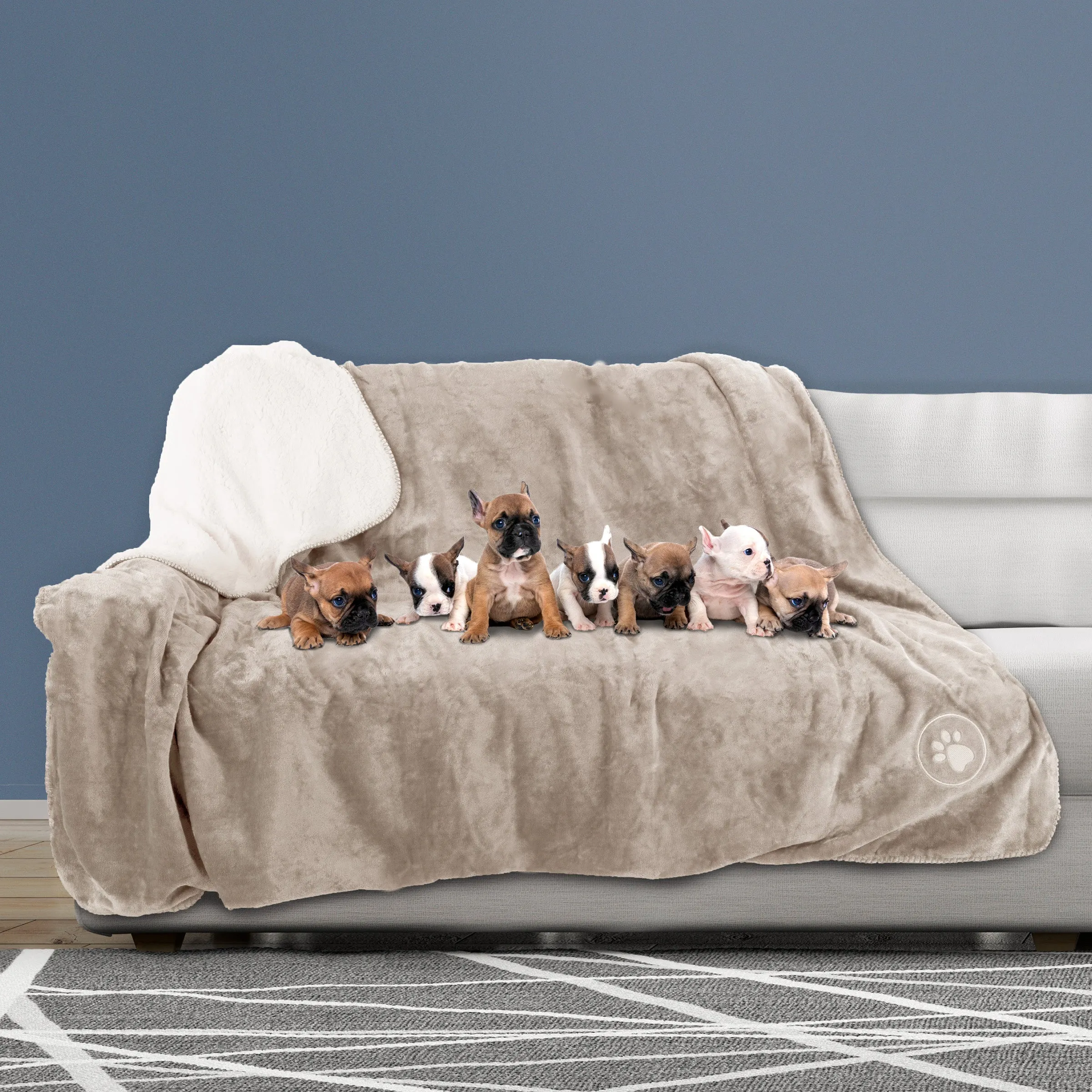 PETMAKER 60x70-Inch Waterproof Dog Blanket, Tan