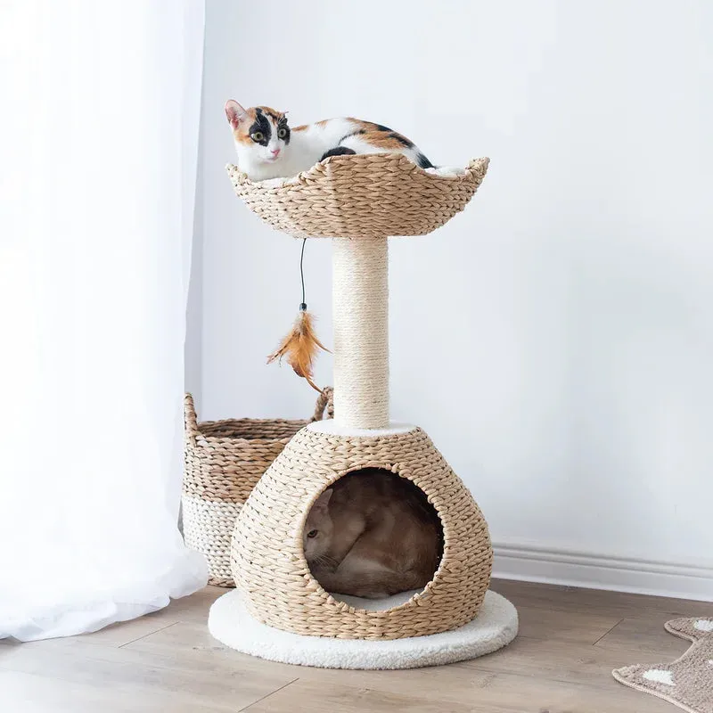 PetPals Walk Up 2 Level Cat Tree