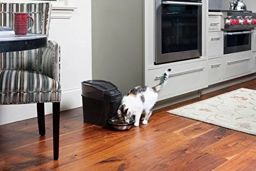 PetSafe Healthy Pet Simply Feed Automatic Pet Feeder, Dispenses Dog Food or Cat Food, Digital Clock