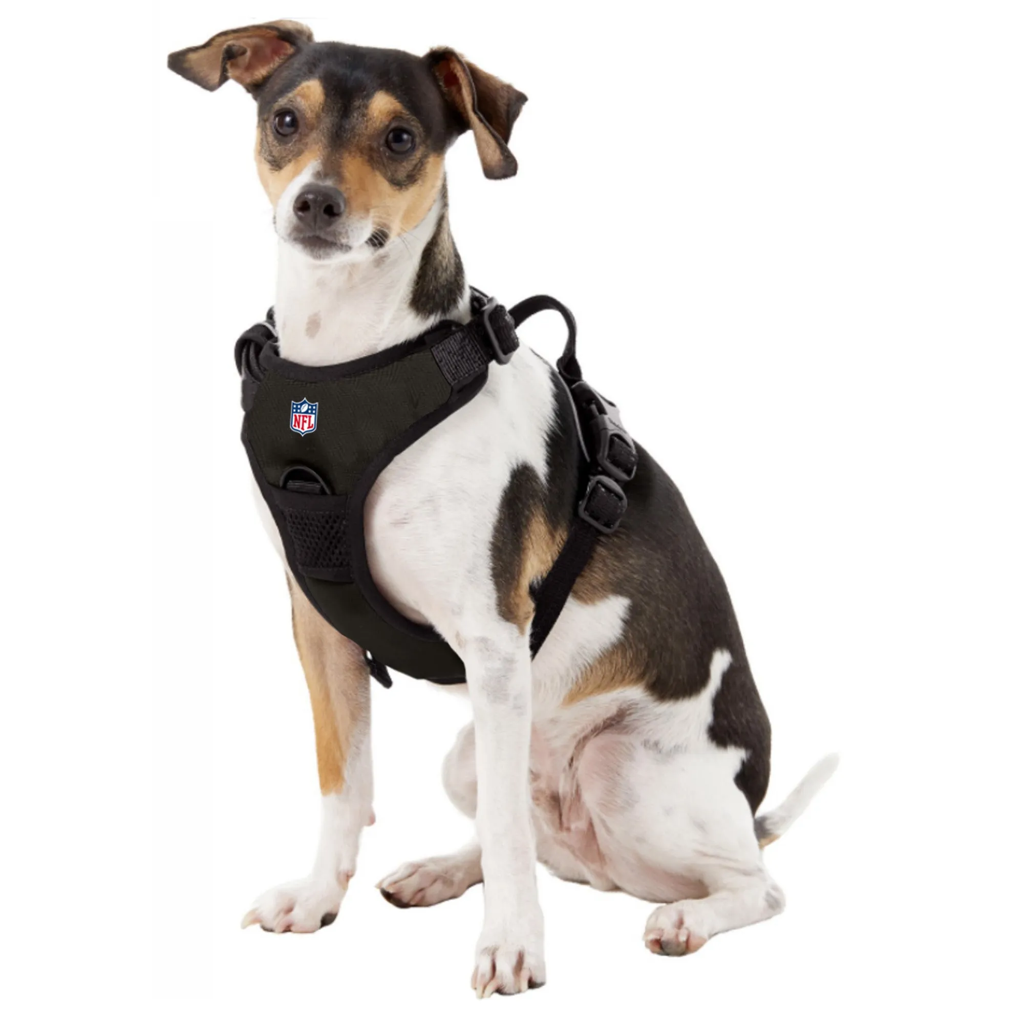 Philadelphia Eagles Front Clip Pet Harness