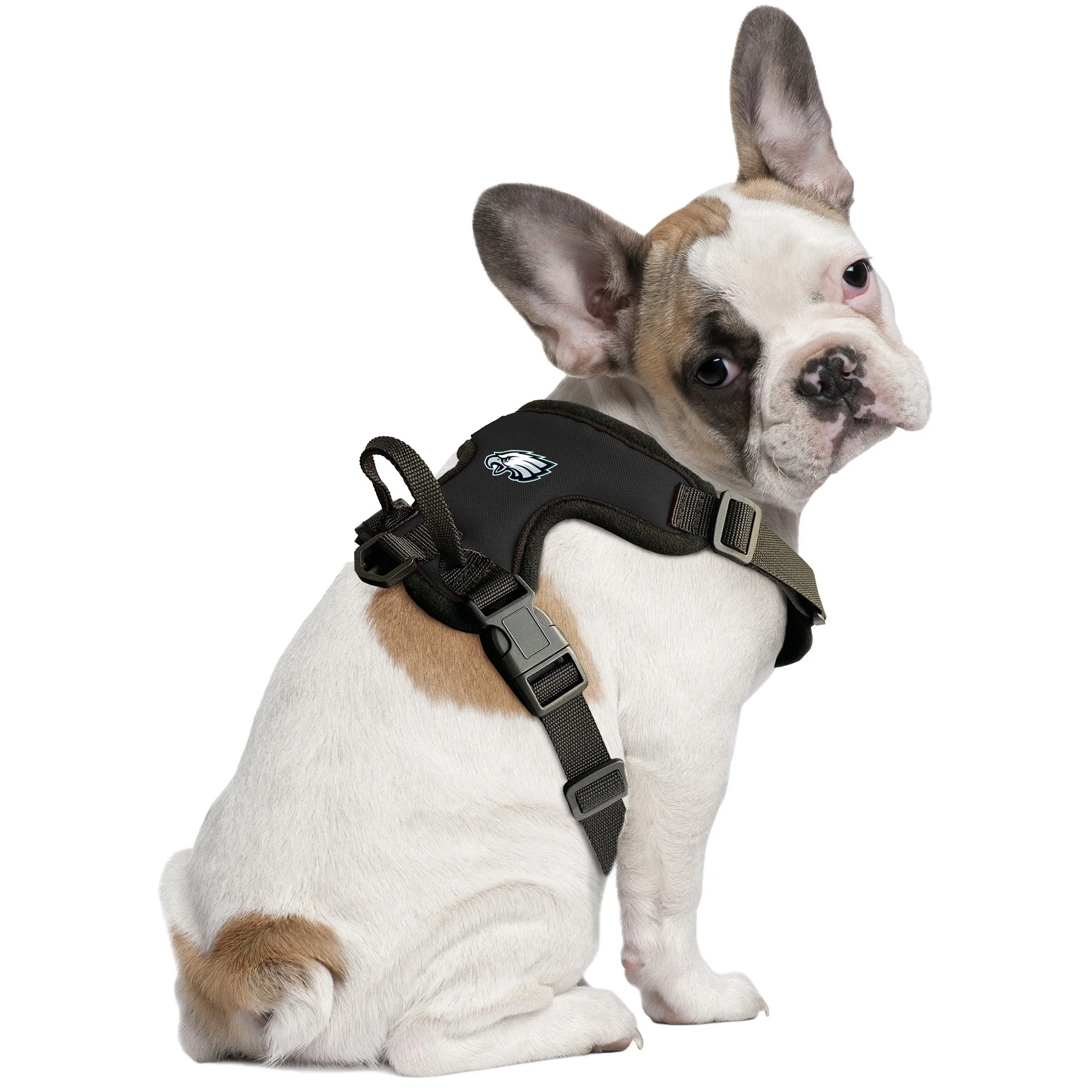 Philadelphia Eagles Front Clip Pet Harness