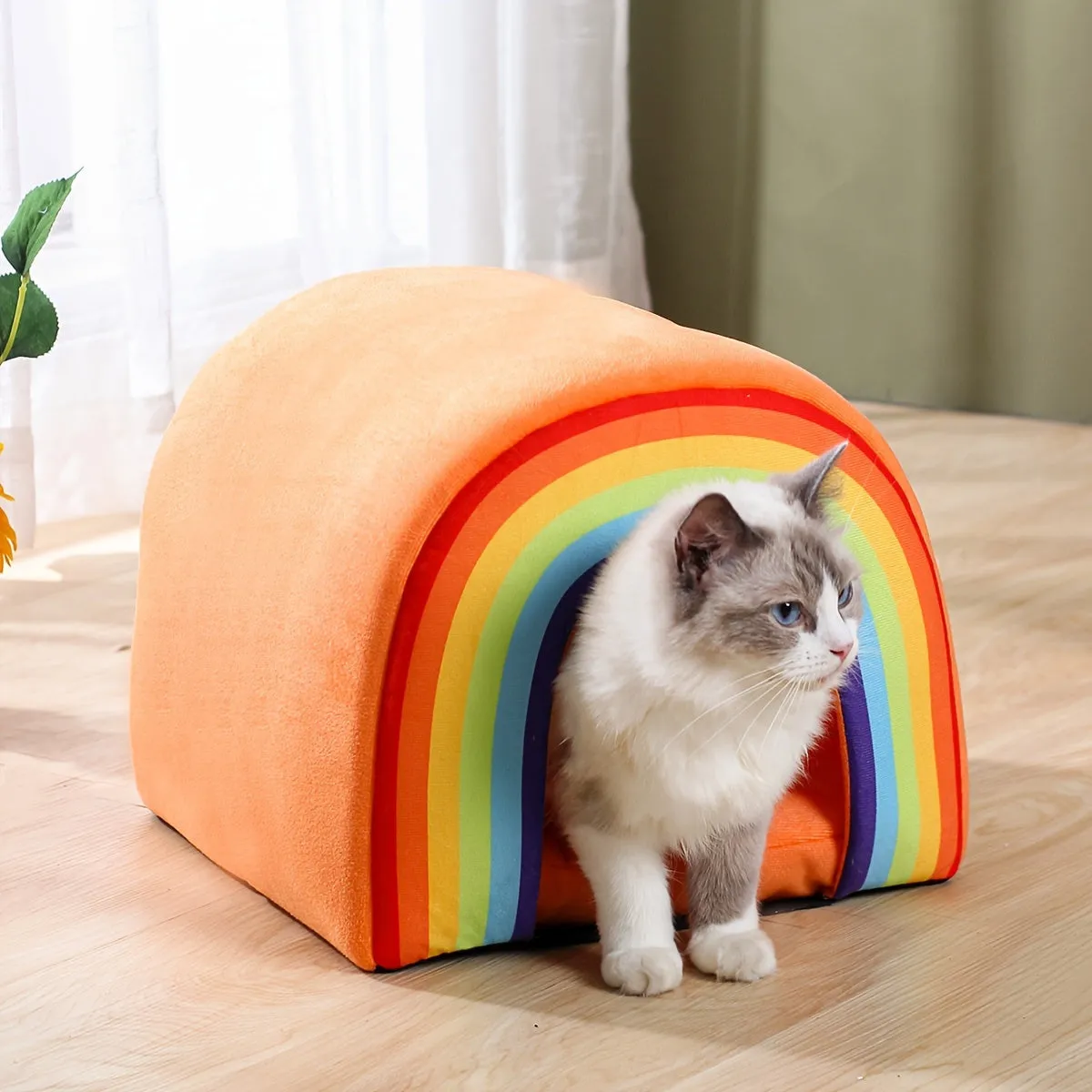 Rainbow Pet House