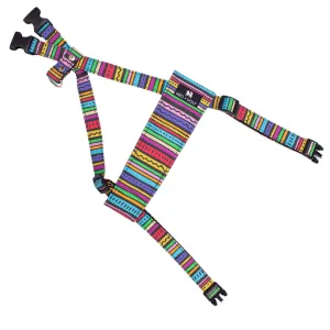 Rainbow Stripe Dog Harness