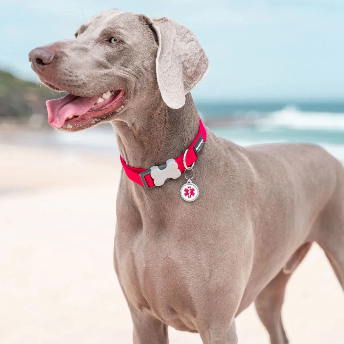 Red Dingo Medical ID Dog Tag