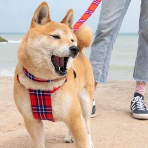 Shuka Red Dog Harness
