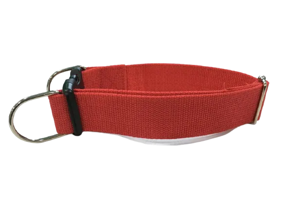 Simple Dog Collar for Large Breeds
