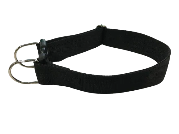 Simple Dog Collar for Large Breeds