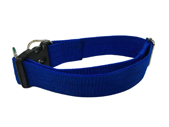 Simple Dog Collar for Large Breeds