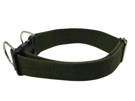 Simple Dog Collar for Large Breeds