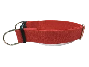 Simple Dog Collar for Large Breeds