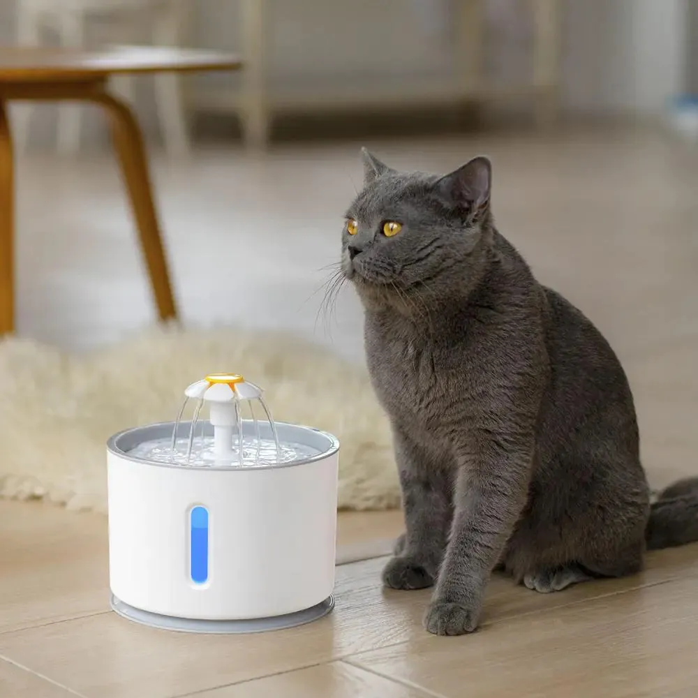 USB Powered Cat Water Fountain